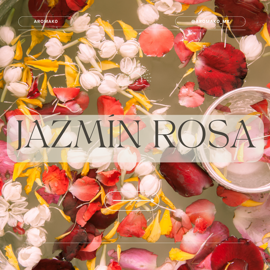 Jazmín + Rosa