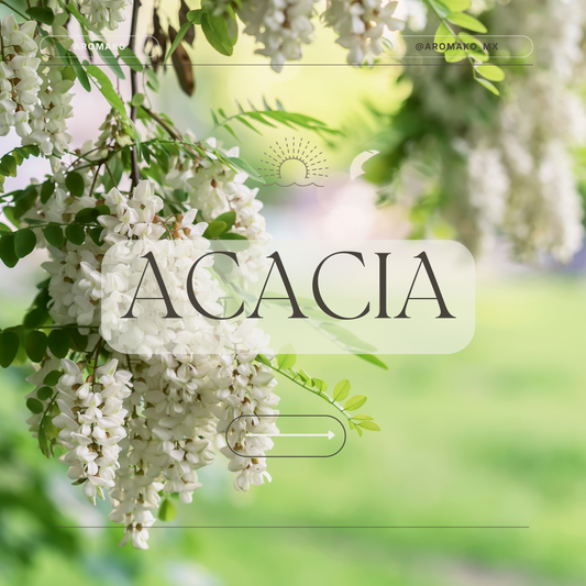 Acacia