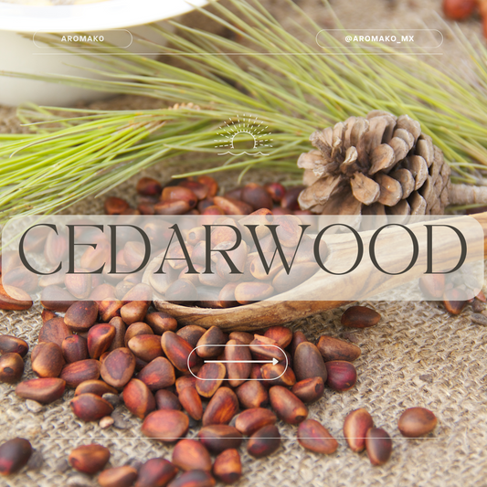 Cedarwood