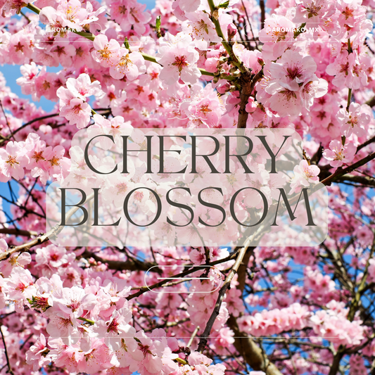 Cherry Blossom