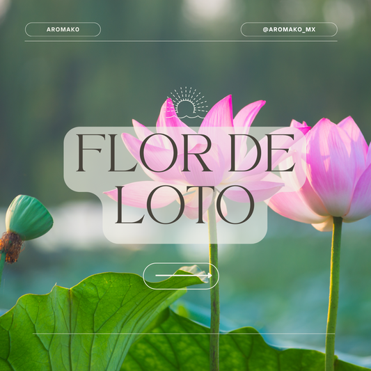 Flor de Loto