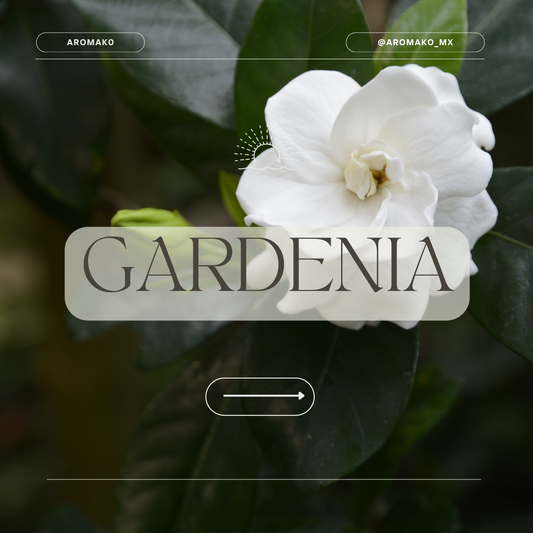 Gardenia